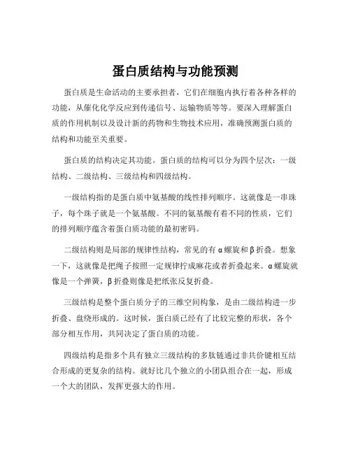 蛋白质结构与功能预测