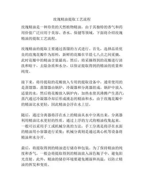 玫瑰精油提取工艺流程