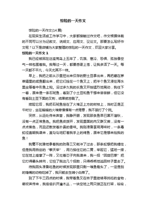 惊险的一天作文