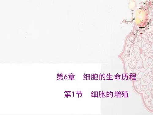 新版高中生物人教版(2020) 6.1 细胞的增殖(共43张PPT)学习演示PPT课件
