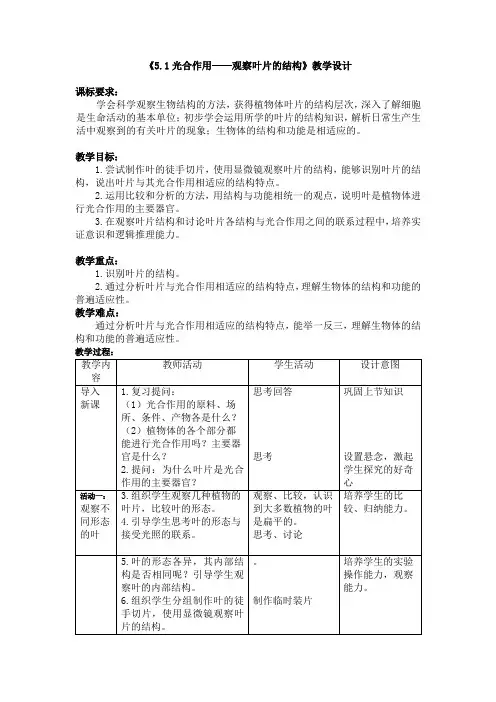 初中生物《光合作用——观察叶片的结构》教学设计