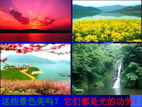 4.1光源 光的传播PPT