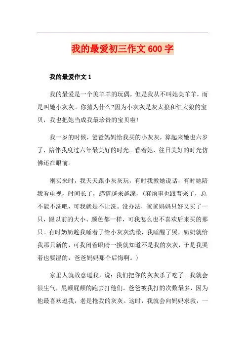 我的最爱初三作文600字