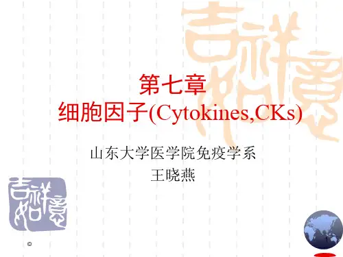 医学免疫学 细胞因子
