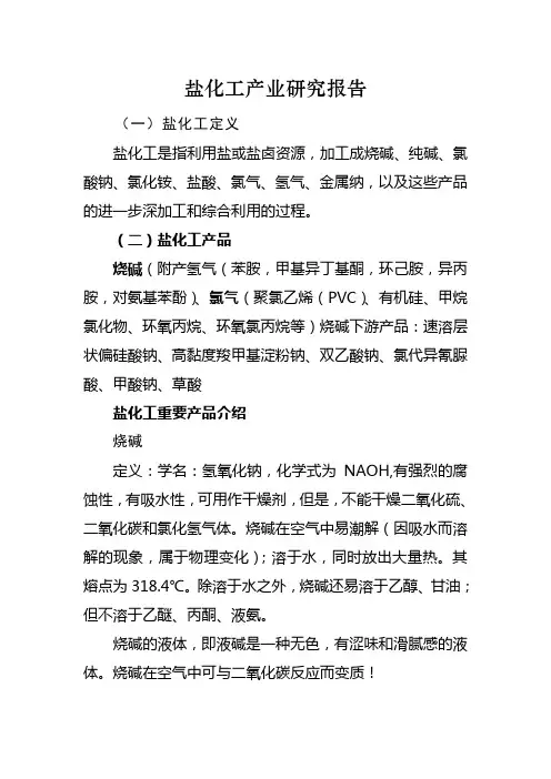 盐化工产业