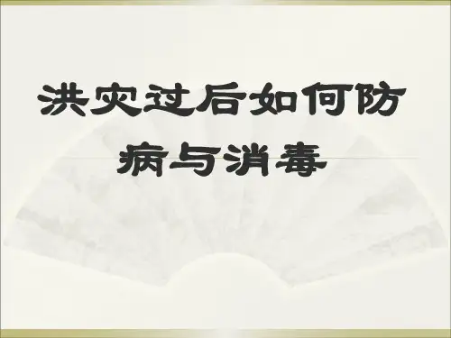 洪灾过后如何防病与消毒