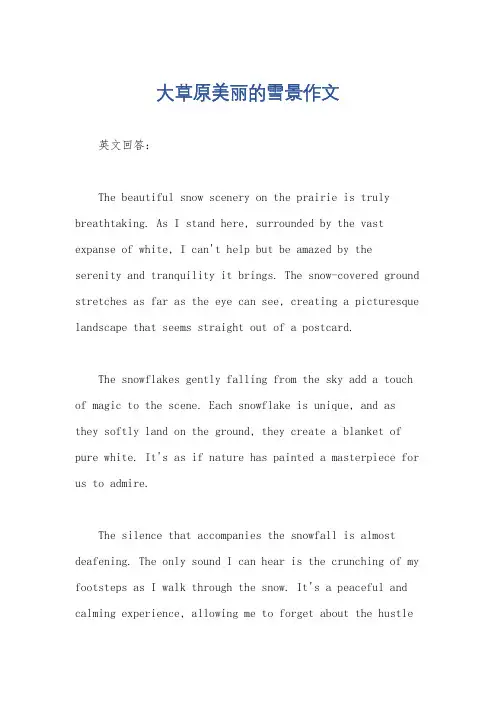 大草原美丽的雪景作文