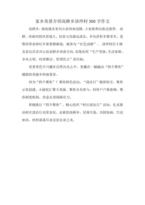 家乡美景介绍高桥乡洛坪村300字作文