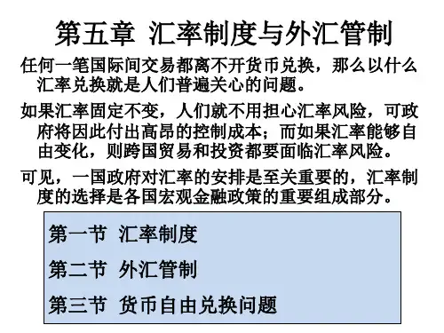 汇率制度与外汇管制(ppt31页).pptx