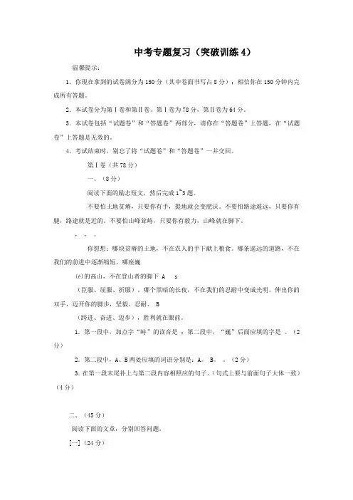 2012年中考语文专题复习套卷(突破训练4)