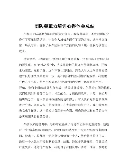 团队凝聚力培训心得体会总结