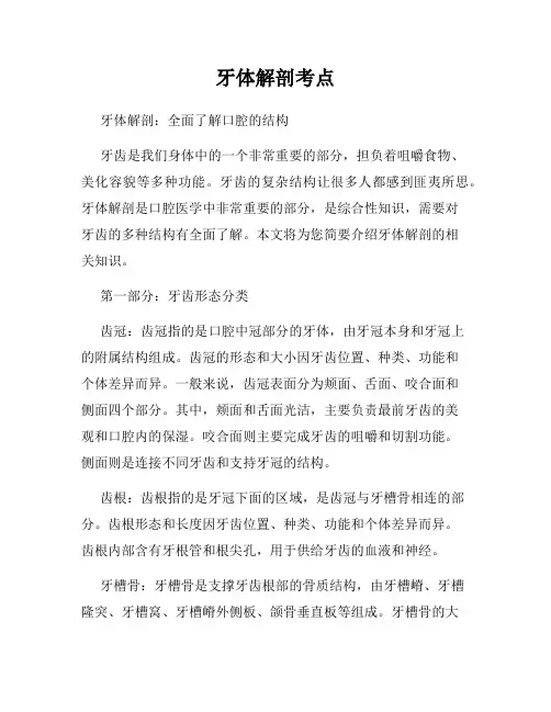 牙体解剖考点