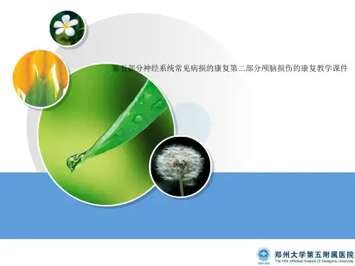 第五部分神经系统常见病损的康复第二部分颅脑损伤的康复教学课件