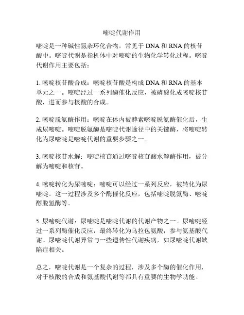 嘧啶代谢作用