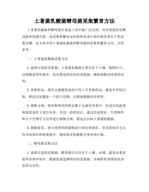 土著菌乳酸菌酵母菌采集繁育方法