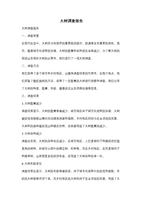 大树调查报告