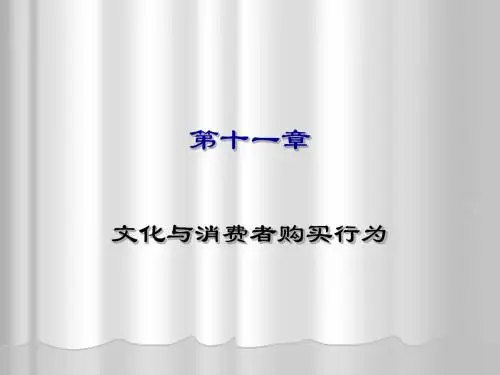 消费者行为学第二版付国群主编第十一章