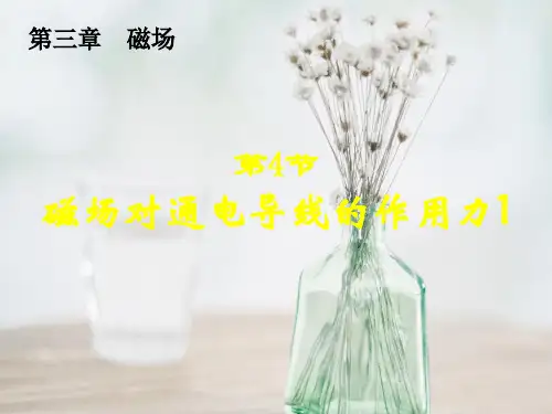 磁场对电流的作用PPT教学课件(1)