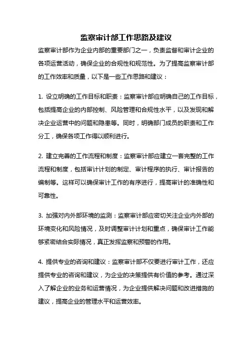 监察审计部工作思路及建议