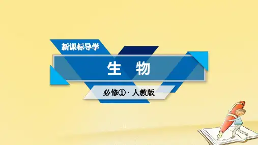 2018-2019学年高一生物人教版必修一课件：章末归纳整合 第6章