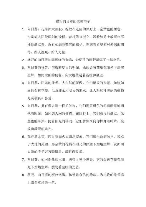 描写向日葵的优美句子