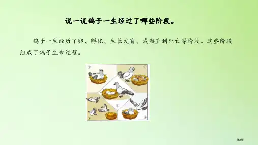 动物的一生市公开课一等奖省优质课获奖课件