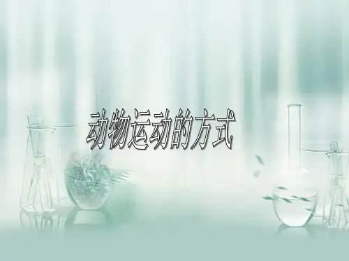 动物运动方式的多样性PPT教学课件