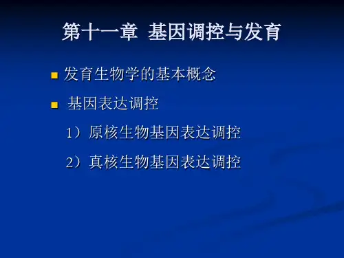 现代遗传学1-12章包括绪论全部课件 (14)