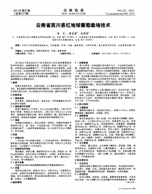 云南省宾川县红地球葡萄栽培技术