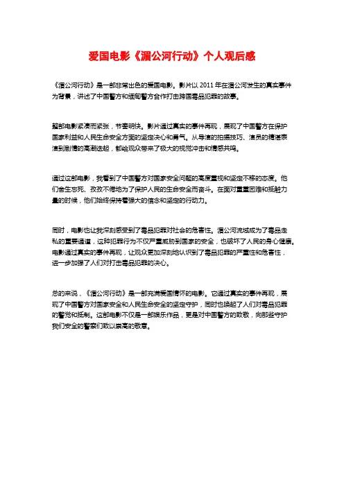 爱国电影《湄公河行动》个人观后感