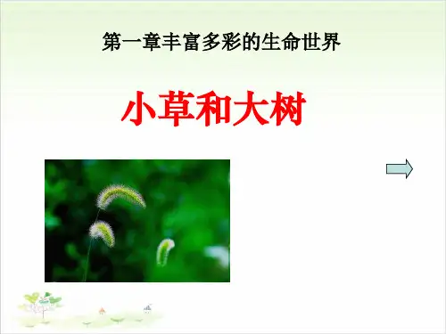 六年级上册科学-小草和大树优秀课件冀教版