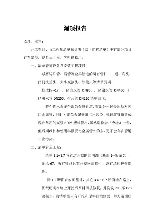 漏项报告