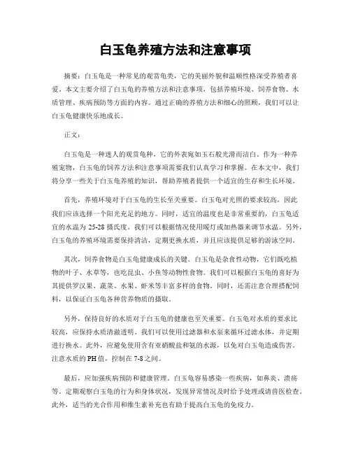 白玉龟养殖方法和注意事项