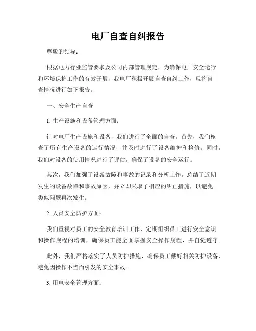 电厂自查自纠报告