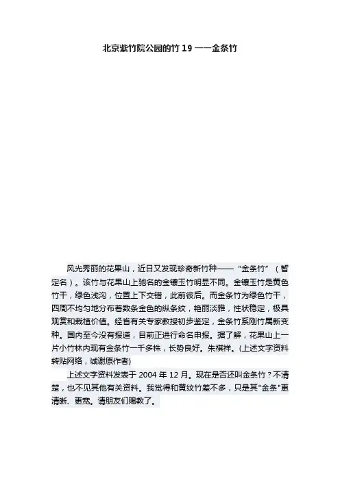 北京紫竹院公园的竹19一一金条竹