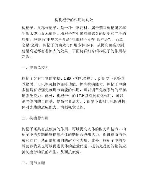 构枸杞子的作用与功效