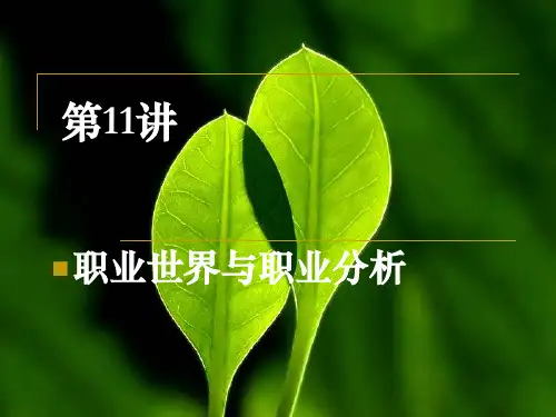 第11讲 职业世界与职业分析课件