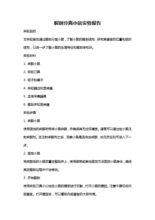 解剖分离小鼠实验报告