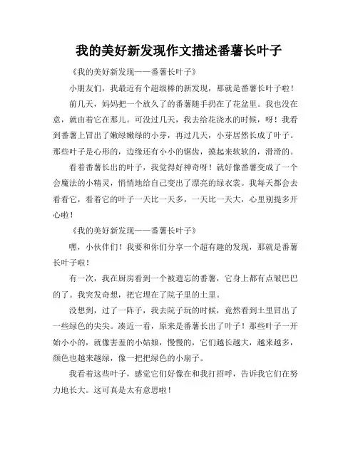 我的美好新发现作文描述番薯长叶子