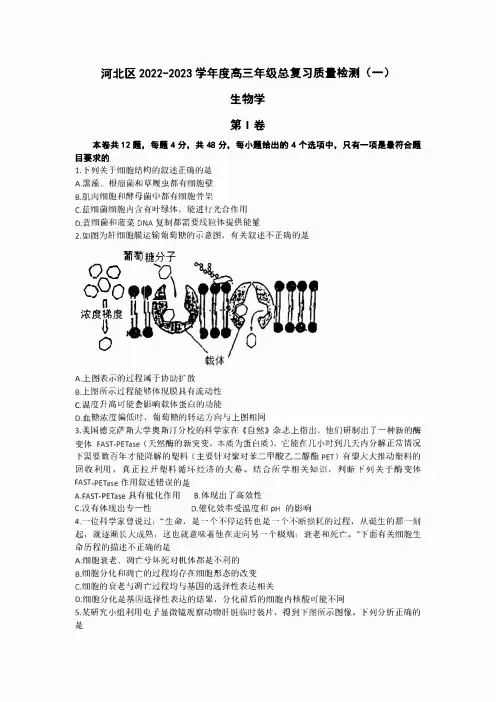 天津市河北区2023届高三第一次模拟考试生物试题(含答案)