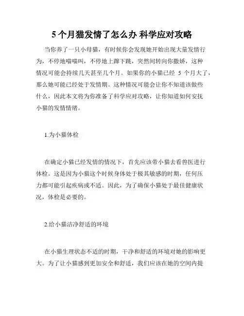 5个月猫发情了怎么办 科学应对攻略