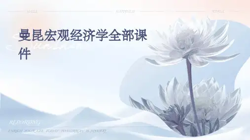曼昆宏观经济学全部课件