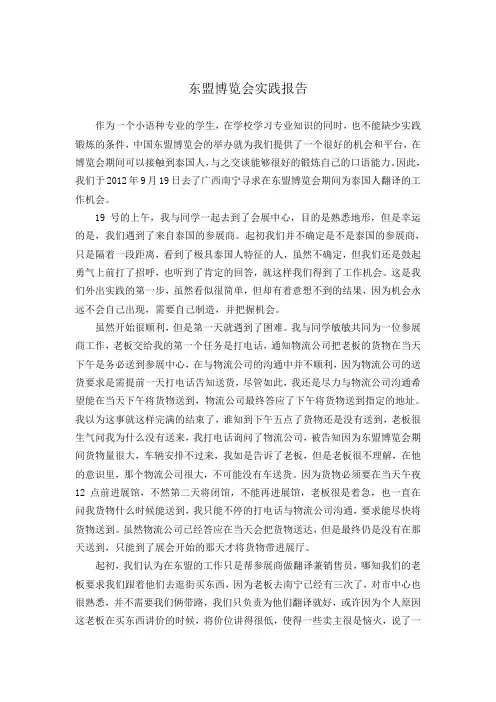 东盟实践报告