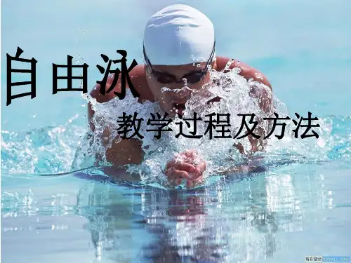 游泳课件