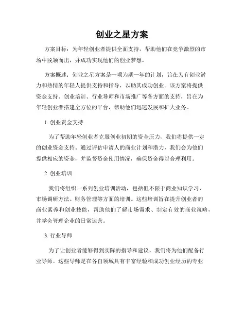 创业之星方案