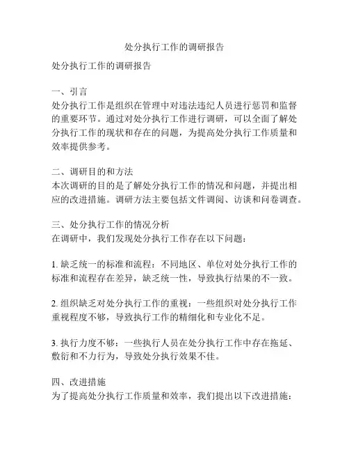 处分执行工作的调研报告