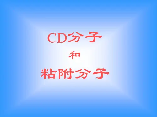 CD和CAM1