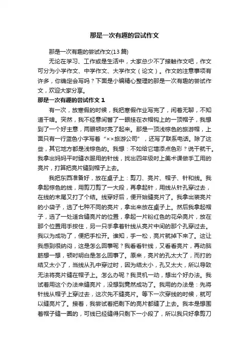 那是一次有趣的尝试作文