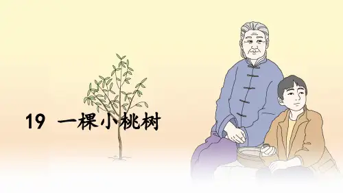 第19课《一棵小桃树》课件(共21张PPT)