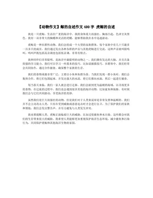【动物作文】鲸的自述作文400字 虎鲸的自述